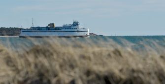 A ferry on the water near a shoreline, with grass in the foreground.