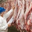 A worker in a meatpacking facility examines meat hanging on hooks, while taking notes on a clipboard. A worker in a meatpacking facility examines meat hanging on hooks, while taking notes on a clipboard.