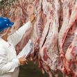 Workers handle meat at factory plant.