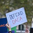 A person holding a sign that reads "DEFEND DACA" at a protest supporting the Deferred Action for Childhood Arrivals program. A person holding a sign that reads "DEFEND DACA" at a protest supporting the Deferred Action for Childhood Arrivals program.