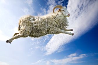 A giant sheep leaping against a blue sky with clouds.