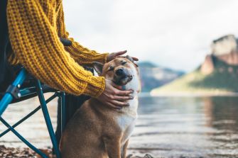A person in a yellow sweater gently pets a dog by a lakeside, with mountains in the background.