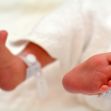 Feet of a newborn baby with identification wristbands. Feet of a newborn baby with identification wristbands.