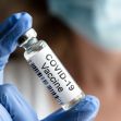 A person in a blue glove holds a vial labeled "COVID-19 Vaccine" while wearing a face mask. A person in a blue glove holds a vial labeled "COVID-19 Vaccine" while wearing a face mask.