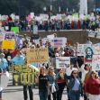 protestors rallied in support of immigrants and refugees in downtown Dallas.