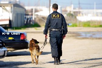 A police officer walking with a K-9 unit in a parking area.