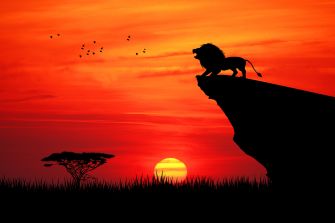 Silhouette of a lion on a cliff with a sunset background, symbolizing themes from The Lion King.