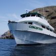 The Conception boat anchored near coastal cliffs, identified by its name on the hull. The Conception boat anchored near coastal cliffs, identified by its name on the hull.