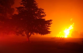 Image of a fire blazing in a wooded area, with a silhouetted tree in the foreground and an ominous orange glow.