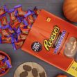 A bag of Reese's Pumpkin-shaped candies with a few scattered on a tabletop alongside pumpkins and other candy. A bag of Reese's Pumpkin-shaped candies with a few scattered on a tabletop alongside pumpkins and other candy.