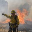 A firefighter directing efforts to control a wildfire with flames and smoke in the background. A firefighter directing efforts to control a wildfire with flames and smoke in the background.