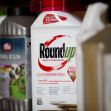 Image of a Roundup weed and grass killer bottle among other chemical containers. Image of a Roundup weed and grass killer bottle among other chemical containers.