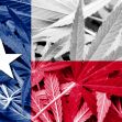 A blend of Texas state flag colors and cannabis leaves. A blend of Texas state flag colors and cannabis leaves.