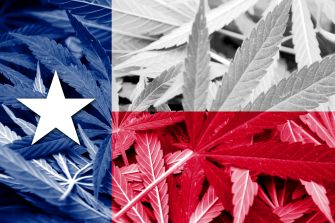 A blend of Texas state flag colors and cannabis leaves.