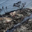 Aerial view of the devastation caused by wildfires in Maui, showcasing burned structures and barren trees near the coast. Aerial view of the devastation caused by wildfires in Maui, showcasing burned structures and barren trees near the coast.
