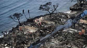 Aerial view of the devastation caused by wildfires in Maui, showcasing burned structures and barren trees near the coast.