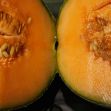 Close-up image of a halved cantaloupe showing its orange flesh and seeds. Close-up image of a halved cantaloupe showing its orange flesh and seeds.