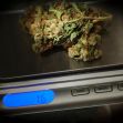 Close-up of cannabis on a digital scale, displaying a weight of 16 grams. Close-up of cannabis on a digital scale, displaying a weight of 16 grams.
