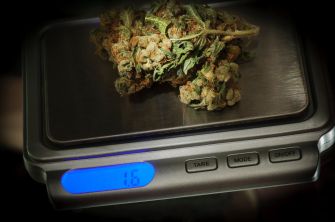 Close-up of cannabis on a digital scale, displaying a weight of 16 grams.