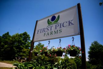 Sign for First Pick Farms, a blueberry farm in Michigan.