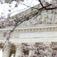 The Supreme Court building with cherry blossoms in the foreground and the inscription "Equal Justice Under Law" visible. The Supreme Court building with cherry blossoms in the foreground and the inscription "Equal Justice Under Law" visible.