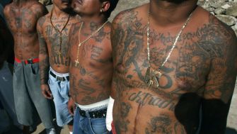 Gang members displaying tattoos, symbolizing their affiliation with a criminal organization.