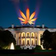An illuminated cannabis leaf projected above the White House at night. An illuminated cannabis leaf projected above the White House at night.