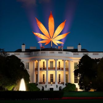 An illuminated cannabis leaf projected above the White House at night.