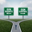A person standing at a crossroads with signs indicating "Gun Rights" and "Gun Control" on either side. A person standing at a crossroads with signs indicating "Gun Rights" and "Gun Control" on either side.