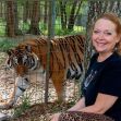 A woman sitting next to a tiger in an enclosure at a sanctuary. A woman sitting next to a tiger in an enclosure at a sanctuary.