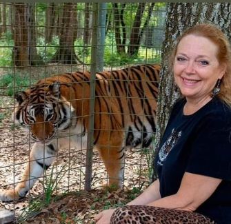 A woman sitting next to a tiger in an enclosure at a sanctuary.