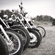 harley davidsons in a row