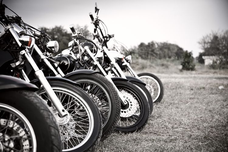 harley davidsons in a row