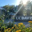 Signage for the University of California, Davis, with flowers and trees in the foreground. Signage for the University of California, Davis, with flowers and trees in the foreground.