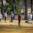 Groups of people practicing yoga outdoors on mats in a park. Groups of people practicing yoga outdoors on mats in a park.