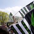 Protesters holding flags with marijuana leaf designs in front of the White House during a demonstration following President Biden's announcement on pardoning individuals convicted of marijuana possession. Protesters holding flags with marijuana leaf designs in front of the White House during a demonstration following President Biden's announcement on pardoning individuals convicted of marijuana possession.