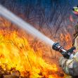 A firefighter battling a wildfire, using a hose to spray water on flames amidst a forested area. A firefighter battling a wildfire, using a hose to spray water on flames amidst a forested area.