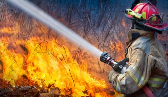 A firefighter battling a wildfire, using a hose to spray water on flames amidst a forested area.