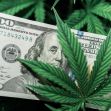 A $100 bill partially covered by a marijuana leaf, set against a background of green cannabis leaves. A $100 bill partially covered by a marijuana leaf, set against a background of green cannabis leaves.
