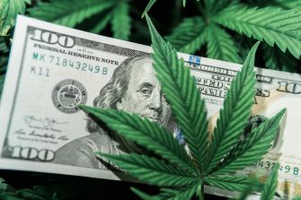 A $100 bill partially covered by a marijuana leaf, set against a background of green cannabis leaves.
