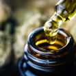 A drop of cannabis oil being dispensed from a glass dropper into a small amber bottle, with cannabis buds visible in the background. A drop of cannabis oil being dispensed from a glass dropper into a small amber bottle, with cannabis buds visible in the background.