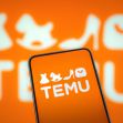 Smartphone displaying the Temu logo with a blurred background featuring shopping-related icons. Smartphone displaying the Temu logo with a blurred background featuring shopping-related icons.