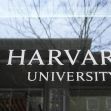 Harvard University sign displayed on a building window, with tree branches reflected in the glass. Harvard University sign displayed on a building window, with tree branches reflected in the glass.