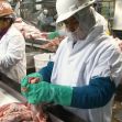 Workers processing meat in a facility, wearing protective gear. Workers processing meat in a facility, wearing protective gear.