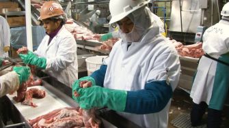 Workers processing meat in a facility, wearing protective gear.