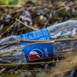 A plastic Pepsi bottle lying in a natural setting among branches and foliage. A plastic Pepsi bottle lying in a natural setting among branches and foliage.