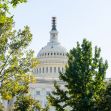 U.S. Capitol building partially obscured by trees under a clear blue sky. U.S. Capitol building partially obscured by trees under a clear blue sky.
