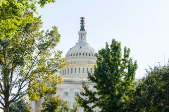 U.S. Capitol building partially obscured by trees under a clear blue sky.