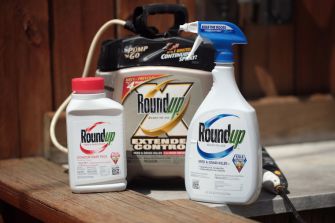 Bottles of Roundup herbicide displayed on a wooden surface, including a spray bottle and a concentrated liquid form.