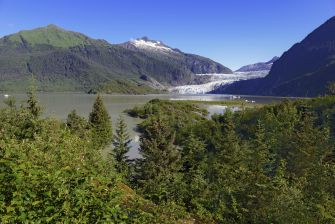 Scenic view of the Tongass National Forest, showcasing lush greenery, a river, and distant mountains with a glacier.